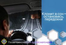 Сон за рулём