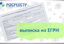 Какой срок действия у выписок из ЕГРН?