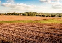 Сельхозземли: первым делом извещаем, затем продаем