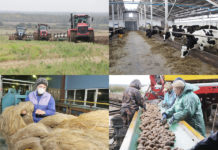 В Алтайском крае открыт приём документов на участие в региональном трудовом соревновании в АПК