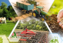 К вопросу о предложенных Росреестром мерах повышения эффективности использования земли