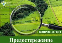 Предостережение о нарушении обязательных требований использования земли. Что дальше?