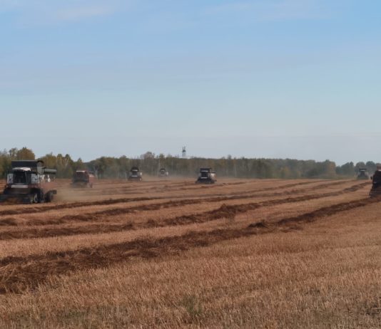 У хозяйства большие перспективы