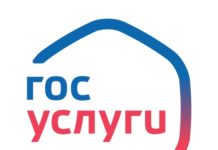 Продолжается перевод массовых социально значимых услуг в электронный вид в рамках реализации нацпроекта «Цифровая экономика»