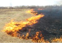 Весенний пожароопасный период