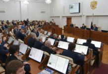 В Алтайском крае для участников специальной военной операции введено внеочередное предоставление деловой древесины