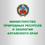 В Алтайском крае вновь заметили следы медведя