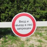 Пребывание граждан в лесах будет ограничено