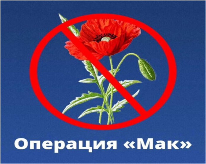 j5fa5podpv5dylyfndg0p2jm3k5t4fhh