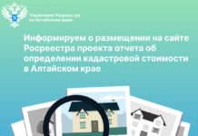 Информируем о размещении на сайте Росреестра проекта отчета об определении кадастровой стоимости в Алтайском крае