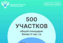 Сервис «Земля для стройки» поможет воплотить задуманное в реальность