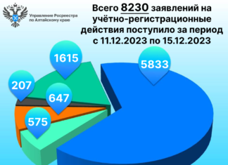 Итоги за период с 11.12 по 15.12.2023 (5 рабочих дней)