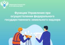 Функции Управления при осуществлении федерального государственного земельного надзора