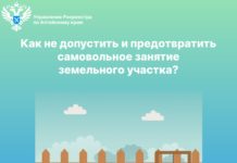 Нарушение границ земельного участка: как не допустить и предотвратить самовольное занятие?