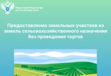 Предоставление земельных участков из земель сельскохозяйственного назначения без проведения торгов