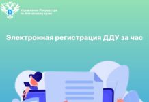Электронная регистрация ДДУ за час