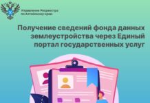 Получение сведений фонда данных землеустройства через Единый портал государственных услуг