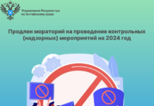 Продлен мораторий на проведение контрольных (надзорных) мероприятий на 2024 год