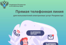 Прямая линия для пользователей электронных услуг Росреестра