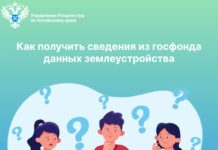 Как получить сведения из госфонда данных землеустройства