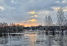 Алтайский край готов к прохождению весеннего половодья