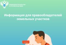 Информация для правообладателей земельных участков