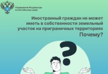 Иностранный граждан не может иметь в собственности земельный участок на приграничных территориях