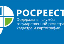 «Лучший по профессии в системе Росреестра»