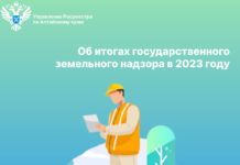 Об итогах государственного земельного надзора в 2023 году