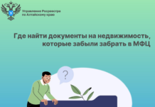 Где найти документы на недвижимость, которые забыли забрать в МФЦ
