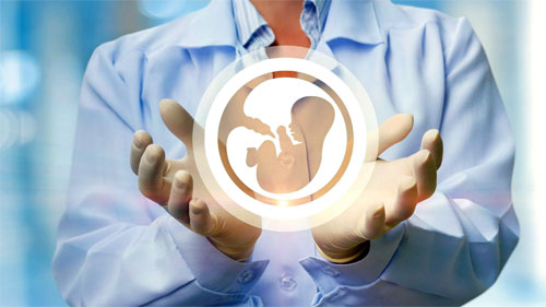 Обследование