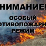 Жителям Алтайского края напоминают: в регионе действует особый противопожарный режим