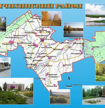 Топчихинский район: итоги и перспективы