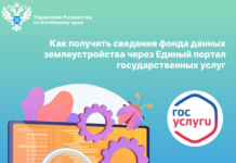 Как получить сведения фонда данных землеустройства через Единый портал государственных услуг
