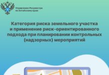 Категория риска земельного участка и применение риск-ориентированного подхода при планировании контрольных (надзорных) мероприятий