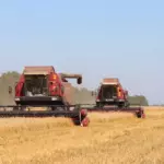 Алтайские аграрии намолотили более 2 миллионов тонн зерна