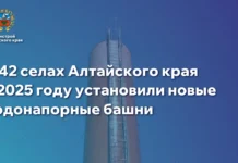 Сразу в 42 селах Алтайского края в 2025 году установили новые водонапорные башни для стабильного водоснабжения