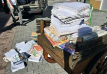 Алтайский край стал бронзовым призёром всероссийской экологической акции