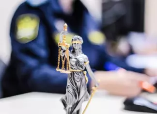 Многодетные семьи смогут сохранить единственный автомобиль от ареста