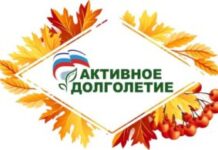 В 64 муниципалитетах Алтайского края добровольцы старшего возраста реализуют социально значимые проекты