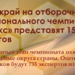 Алтайский край на отборочном этапе Национального чемпионата «Абилимпикс» представят 15 конкурсантов