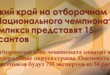 Алтайский край на отборочном этапе Национального чемпионата «Абилимпикс» представят 15 конкурсантов