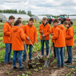 В Алтайском крае запустят первый в Сибири сельскохозяйственный трудовой проект студентов