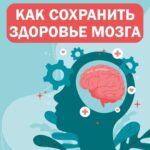 Умственная активность и правильное питание