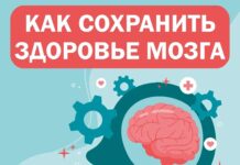 Умственная активность и правильное питание