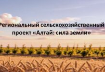 В Алтайском крае стартовал первый региональный сельскохозяйственный проект «Алтай: сила земли»