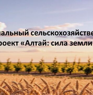 В Алтайском крае стартовал первый региональный сельскохозяйственный проект «Алтай: сила земли»