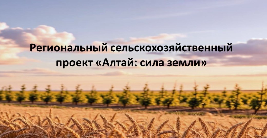Алтай сила земли