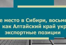 Алтайский край вошел в число лидеров рейтинга Российского экспортного центра