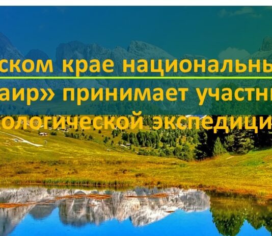 В Алтайском крае национальный парк «Салаир» принимает участников экологической экспедиции